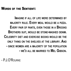 majority-rule-orourke